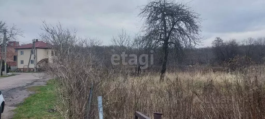 Участок в Калининградская область, Калининград пос. Лермонтовский, ул. ... - Фото 0