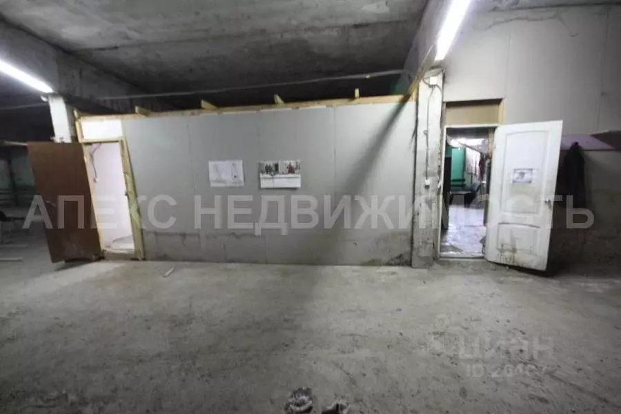 Новая 41. Новая 41