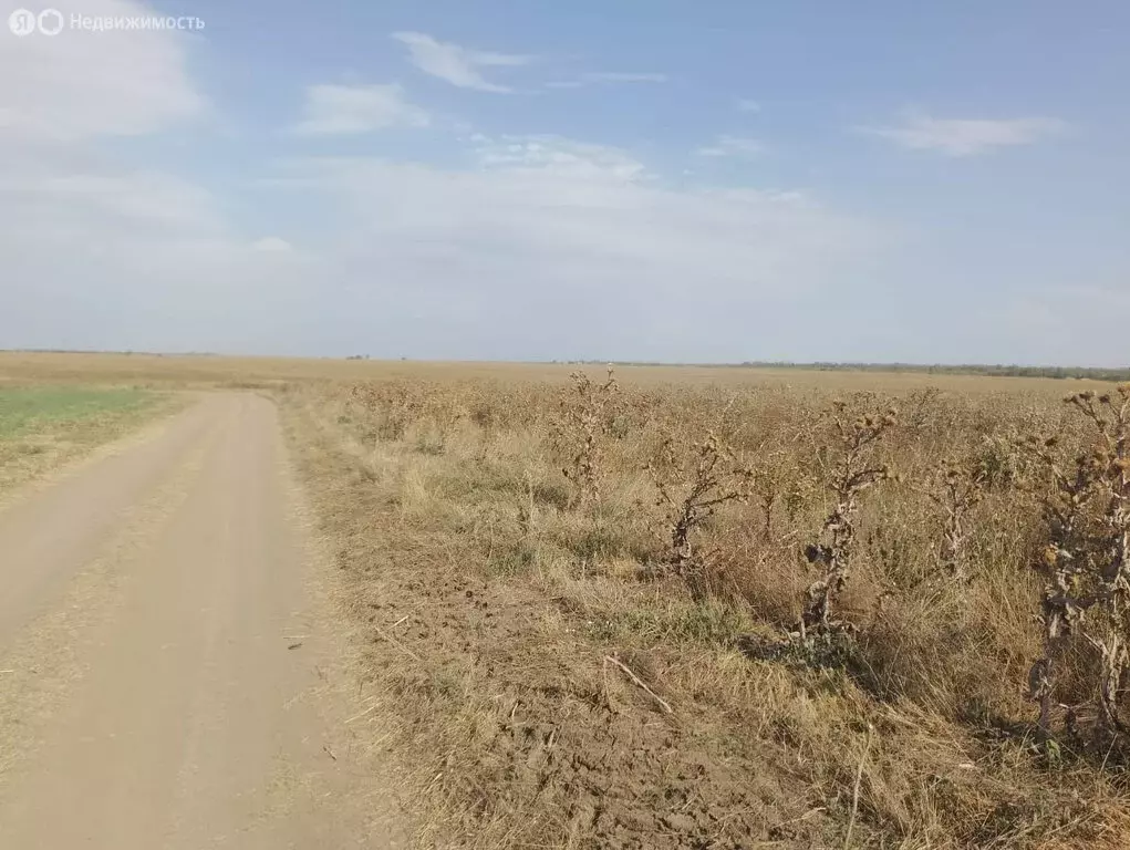 Участок в Новощербиновская, Ясенская улица (7.06 м) - Фото 0
