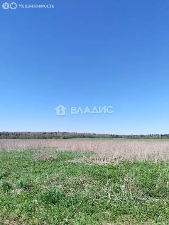 Участок в Вологодский муниципальный округ, посёлок Фетинино, ... - Фото 0