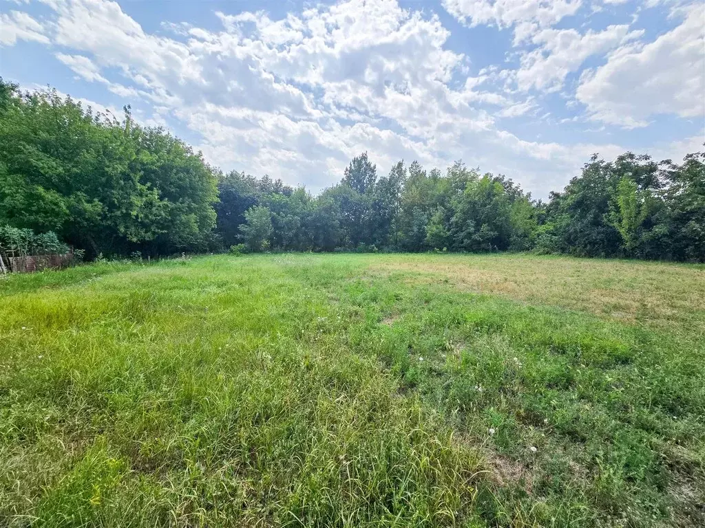 Участок в Краснодарский край, Выселковский район, Березанская ст-ца ... - Фото 2