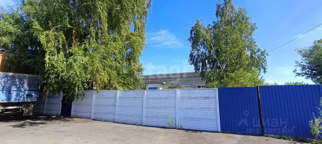 Офис в Белгородская область, Вейделевка рп ул. Пролетарская, 56К1 (258 ... - Фото 1