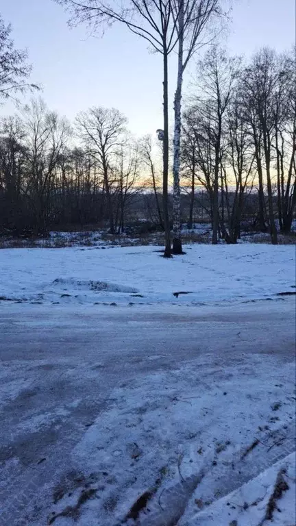 Участок в Московская область, Ступино городской округ, д. Хирино ул. ... - Фото 0