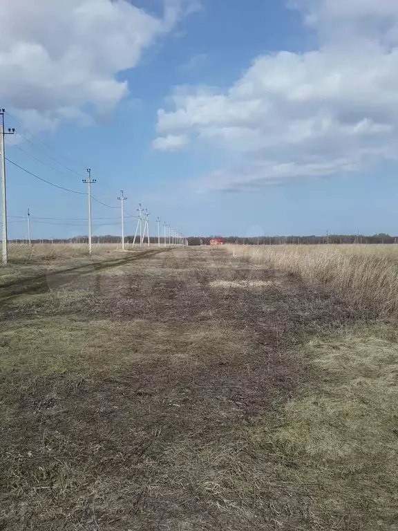 Участок 14 сот. (ИЖС) - Фото 0