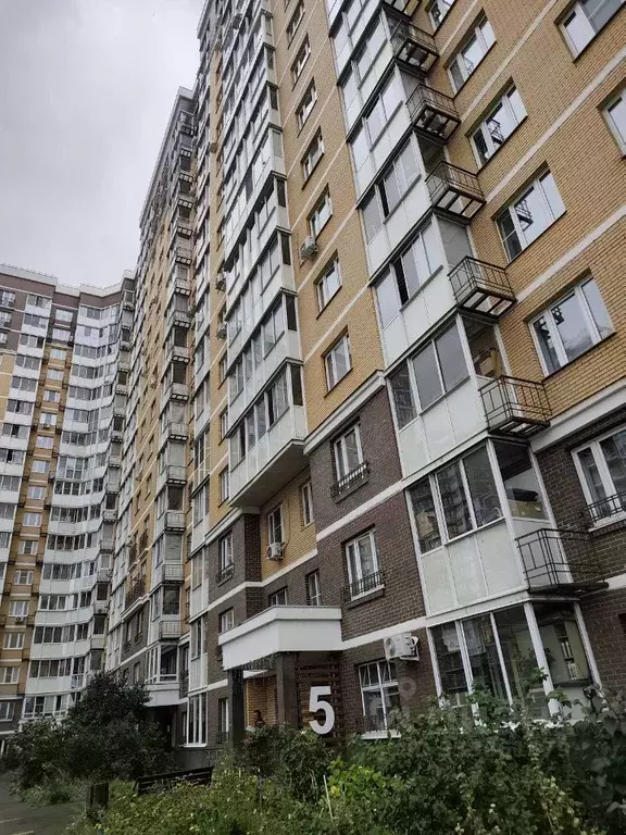 1-к кв. Московская область, Люберцы Зенино ЖК Самолет мкр, ул. ... - Фото 2