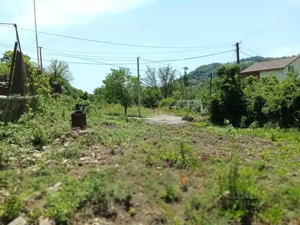 Участок в Краснодарский край, Сочи Агро СНТ,  (4.0 сот.) - Фото 2