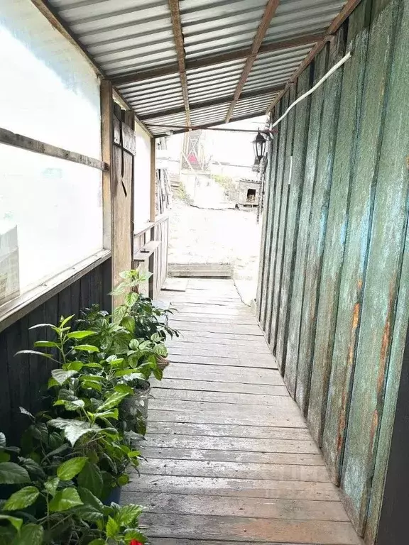 Дом в Кемеровская область, Новокузнецк ул. Георгия Седова, 3 (41 м) - Фото 1