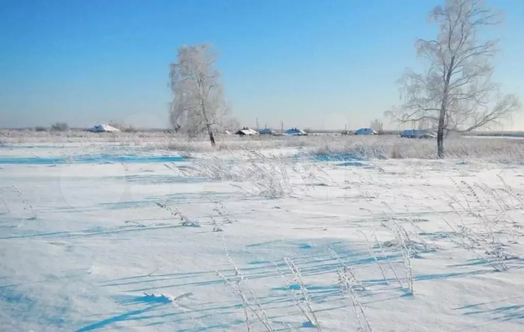 Участок 10 сот. (СНТ, ДНП) - Фото 1