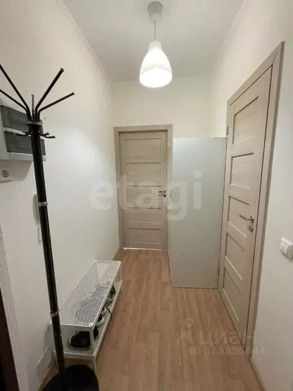 Студия Санкт-Петербург ул. Адмирала Черокова, 18к3 (24.1 м) - Фото 1