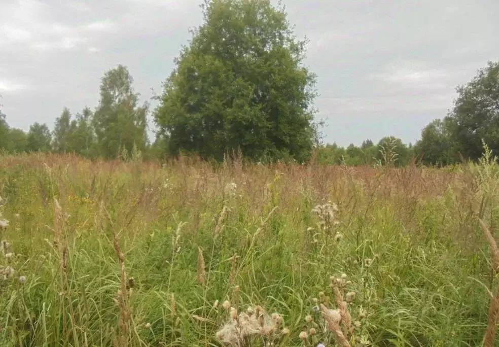 Участок в Московская область, Дмитровский муниципальный округ, д. ... - Фото 1