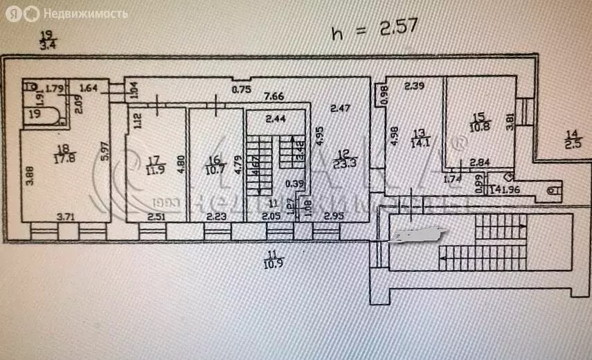 Помещение свободного назначения (242 м) - Фото 2