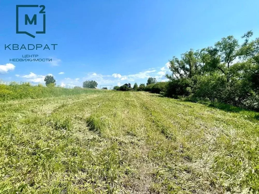 Участок в Нижегородская область, Арзамас городской округ, с. Новоселки ... - Фото 1