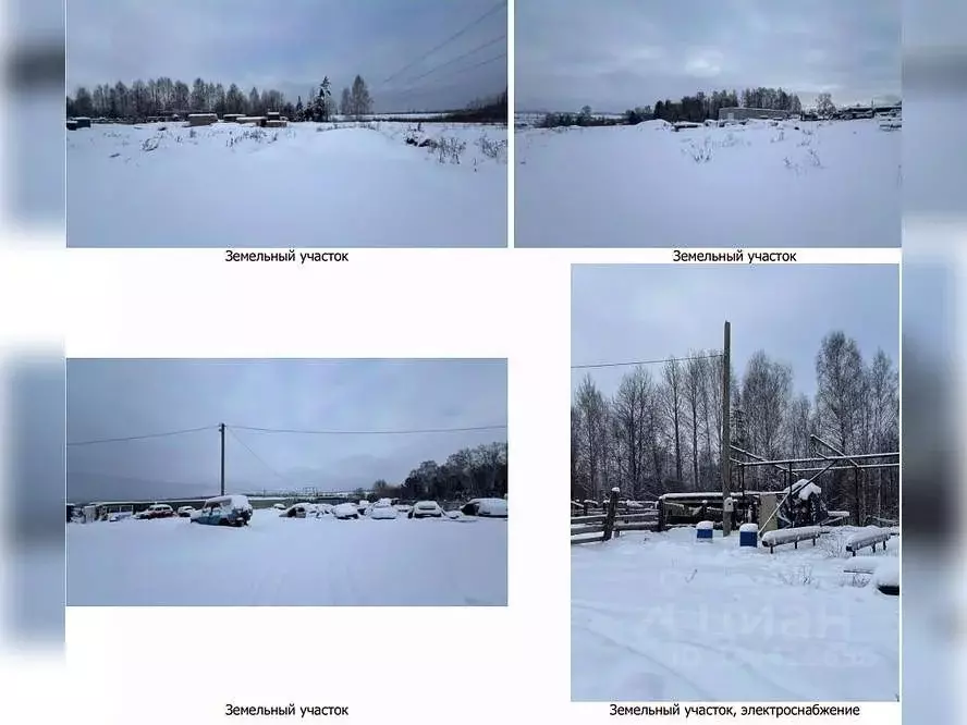 Участок в Пермский край, Чайковский городской округ, д. Малый Букор ... - Фото 2