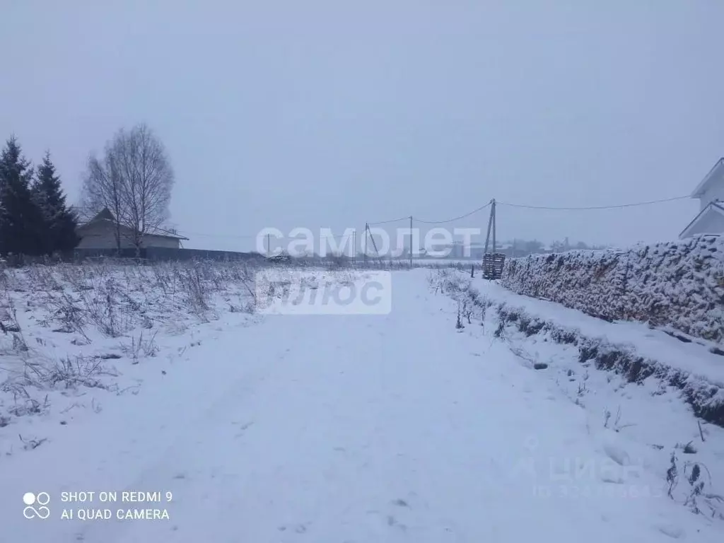 Участок в Вологодская область, д. Кишкино (Подлесный сельсовет) ул. ... - Фото 2