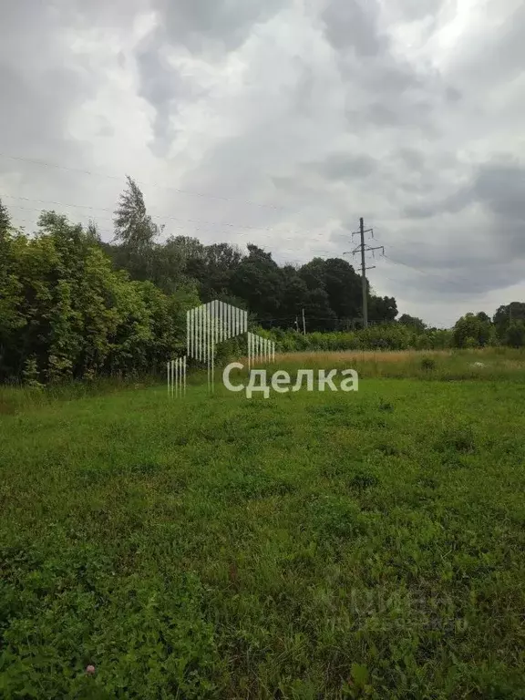 Участок в Московская область, Луховицы муниципальный округ, д. ... - Фото 2