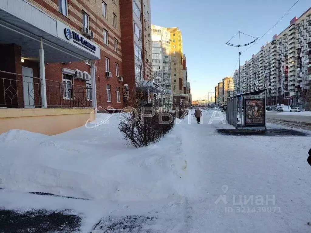 Помещение свободного назначения в Тюменская область, Тюмень ул. ... - Фото 1