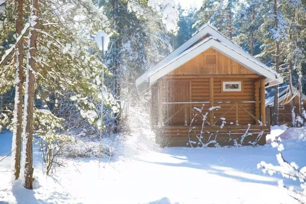 Дом в Тверская область, Калининский муниципальный округ, д. Изворотень ... - Фото 1
