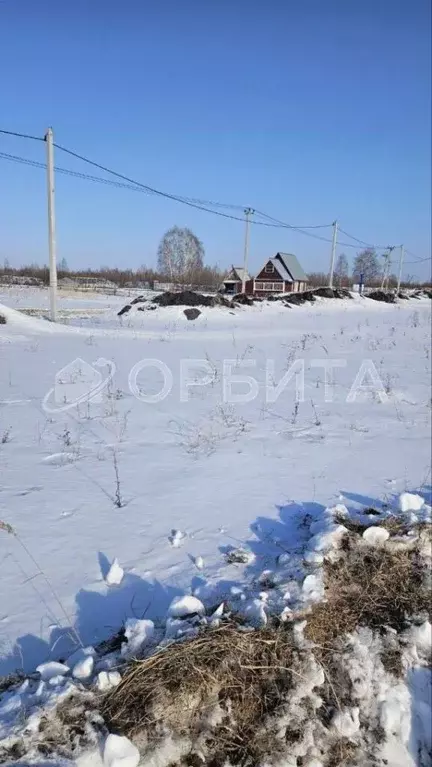 Участок в Тюменская область, Тюменский район, пос. Новотарманский ... - Фото 1