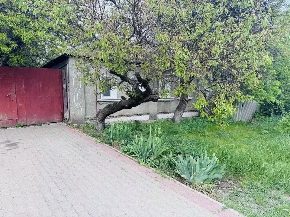 Дом в Белгородская область, Валуйки пер. Пушкина (40 м) - Фото 0