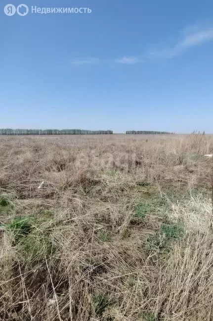 Участок в село Луговое, улица Переслегина (15 м) - Фото 0