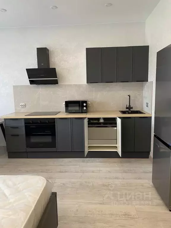 Студия Санкт-Петербург Парашютная ул., 79к1 (29.0 м) - Фото 2