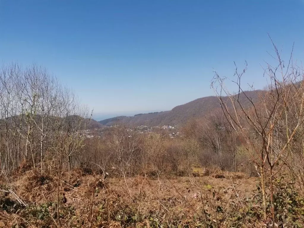 Участок в Краснодарский край, Сочи городской округ, с. Волконка ул. ... - Фото 2