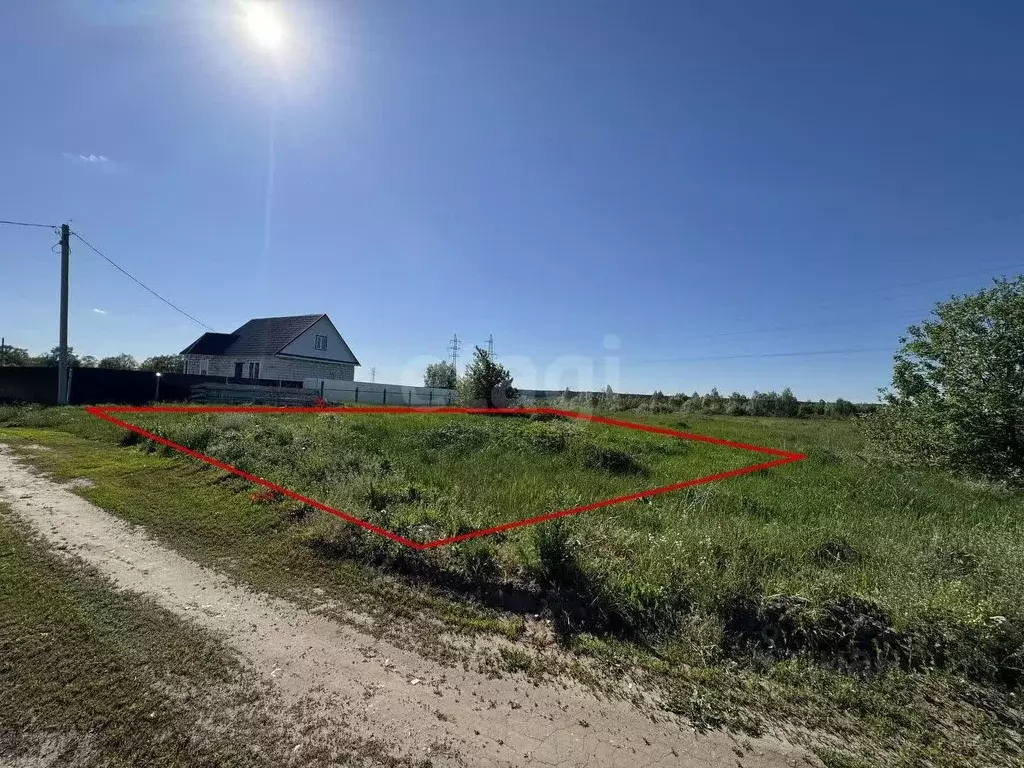 Участок в Мордовия, Ковылкинский район, Кочелаевское с/пос, с. ... - Фото 1