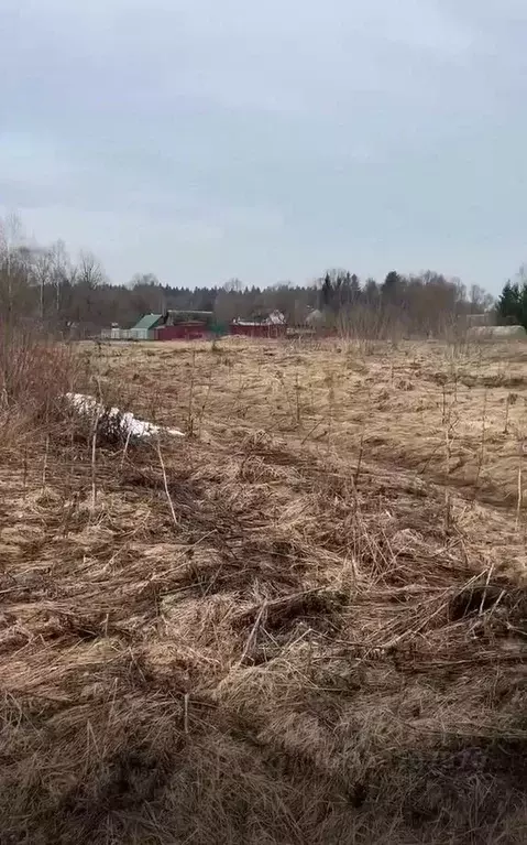 Участок в Московская область, Можайский муниципальный округ, д. Фомино ... - Фото 1
