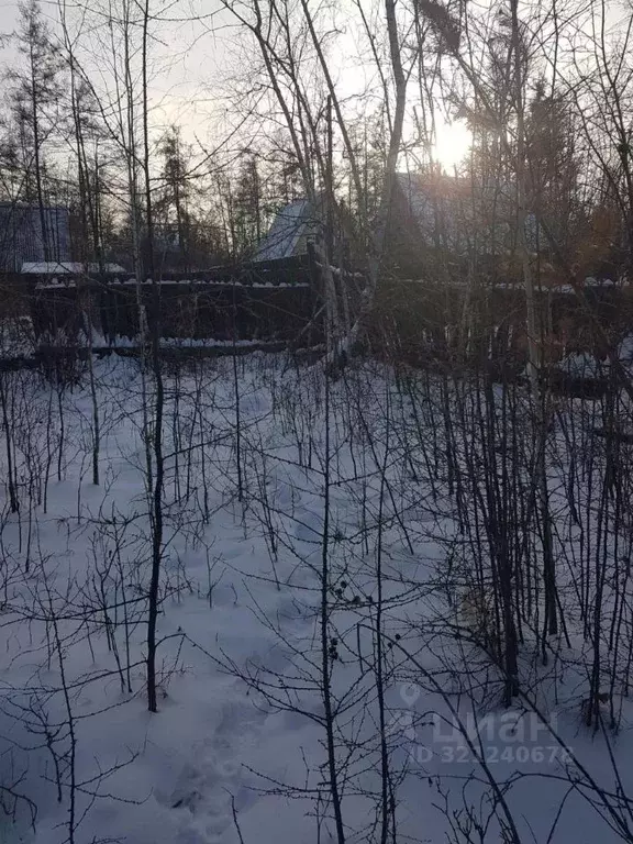 Участок в Саха (Якутия), Якутск городской округ, с. Маган  (8.0 сот.) - Фото 1