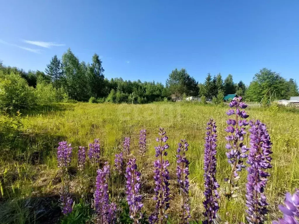 Участок в Коми, Корткеросский район, Додзь муниципальное образование, ... - Фото 1