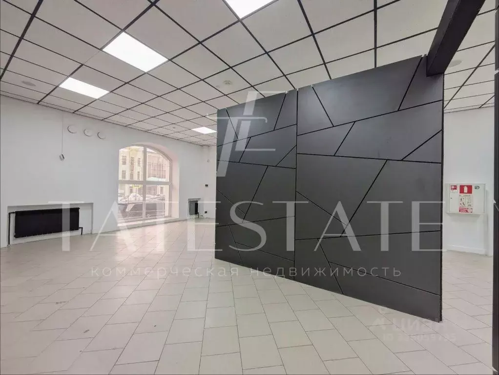 Помещение свободного назначения в Татарстан, Казань Московская ул., 17 ... - Фото 1