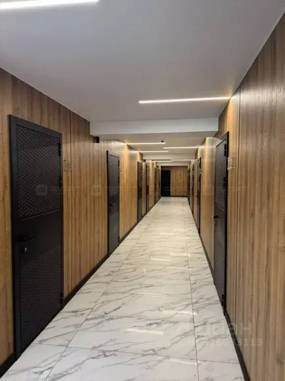 1-к кв. Татарстан, Казань ул. Толстого, 41к2 (21.4 м) - Фото 1