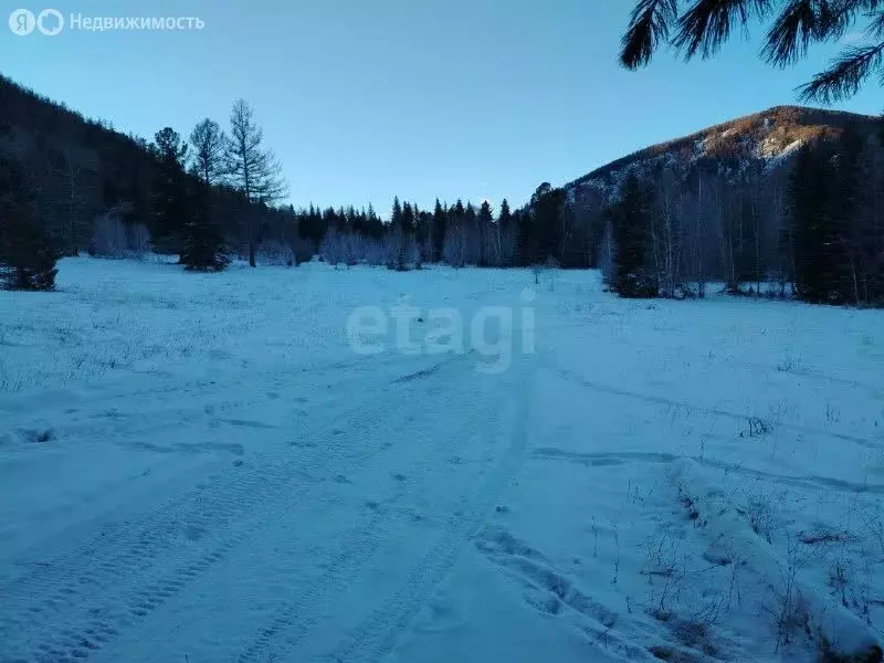 Участок в Усть-Коксинский район, посёлок Маральник-1 (500 м) - Фото 2