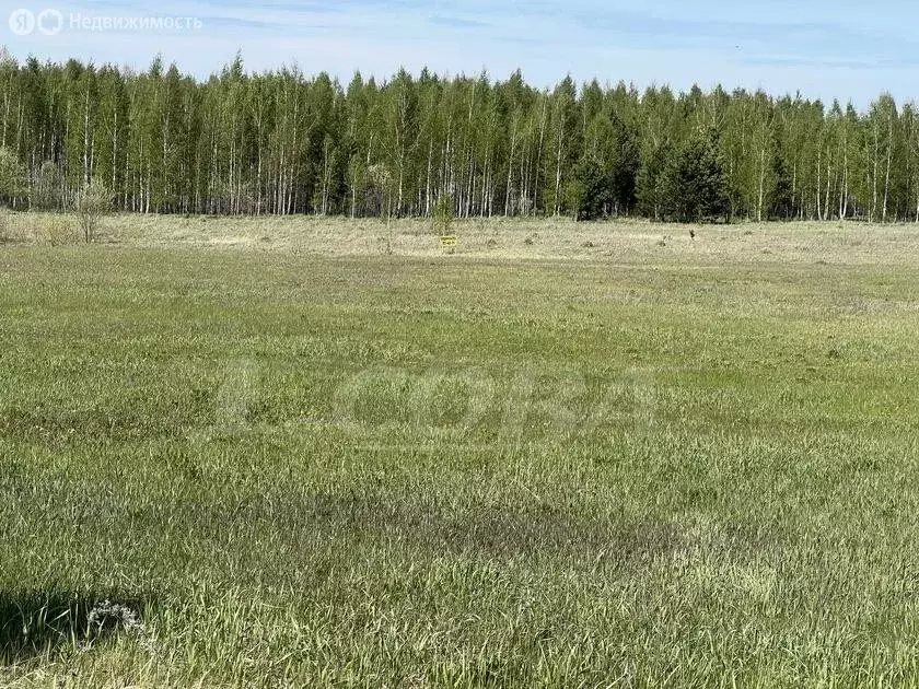 Участок в Нижнетавдинский район, деревня Штакульская (10 м) - Фото 0