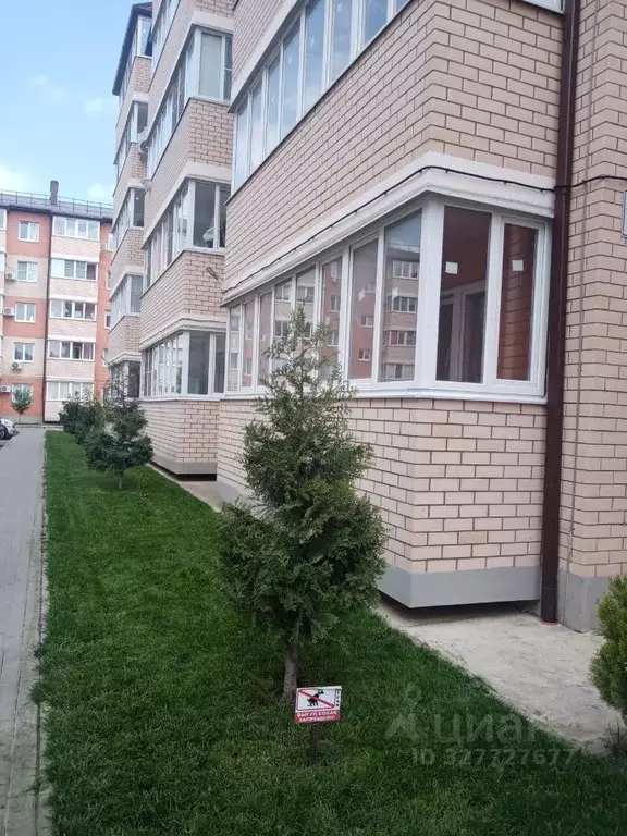 2-к кв. Адыгея, Тахтамукайский район, Яблоновский пгт ул. Тургеневское ... - Фото 2