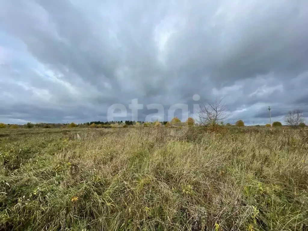Участок в Вологодская область, Шекснинский муниципальный округ, д. ... - Фото 1