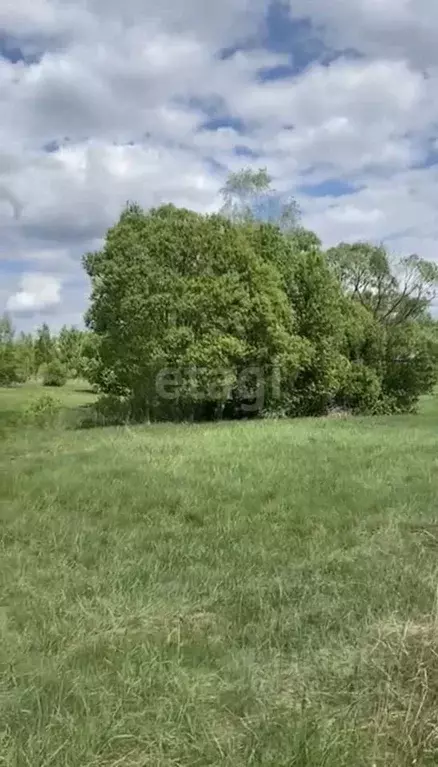 Участок в Белгородская область, Ракитянский район, Дмитриевское с/пос, ... - Фото 1