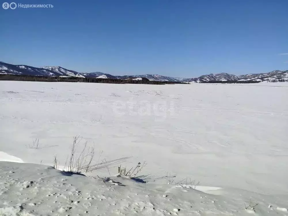 Участок в Усть-Коксинский район, село Амур (350 м) - Фото 1