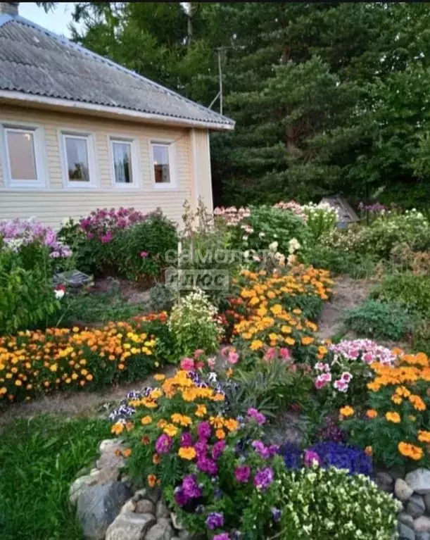 Дом в Вологодская область, д. Антоново (Вотчинский сельсовет) 1 (52 м) - Фото 2