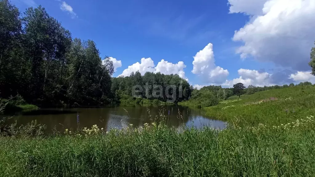 Участок в Новосибирская область, Новосибирский район, Барышевский ... - Фото 0