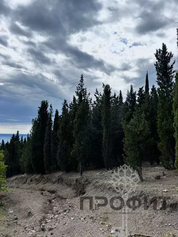 Участок в Крым, Алушта муниципальный округ, пос. Семидворье ул. ... - Фото 2