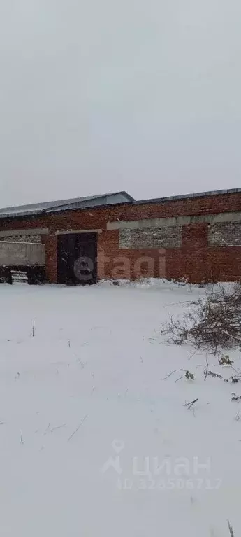 Гараж в Алтайский край, Первомайский район, с. Березовка ул. 40 лет ... - Фото 1