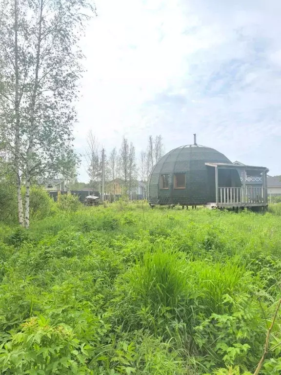 Участок в Ленинградская область, Выборгский район, Рощинское городское ... - Фото 1