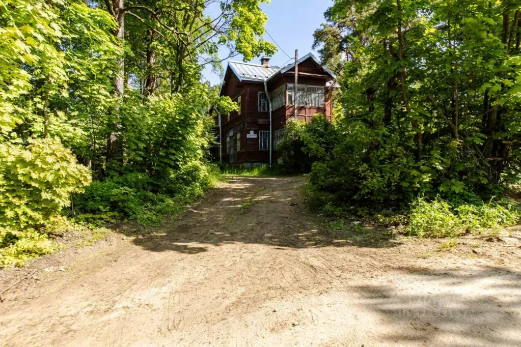 Участок в Санкт-Петербург, Санкт-Петербург, Сестрорецк Ермоловский ... - Фото 2