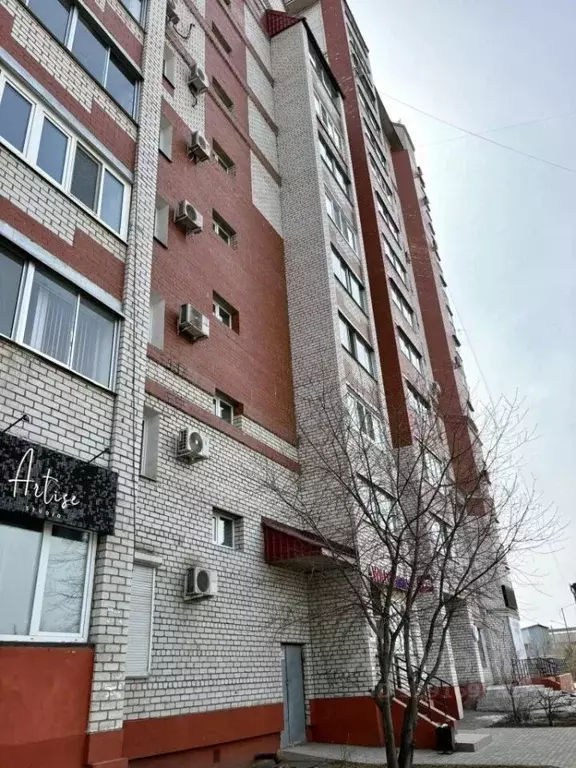 Помещение свободного назначения в Амурская область, Благовещенск ... - Фото 2