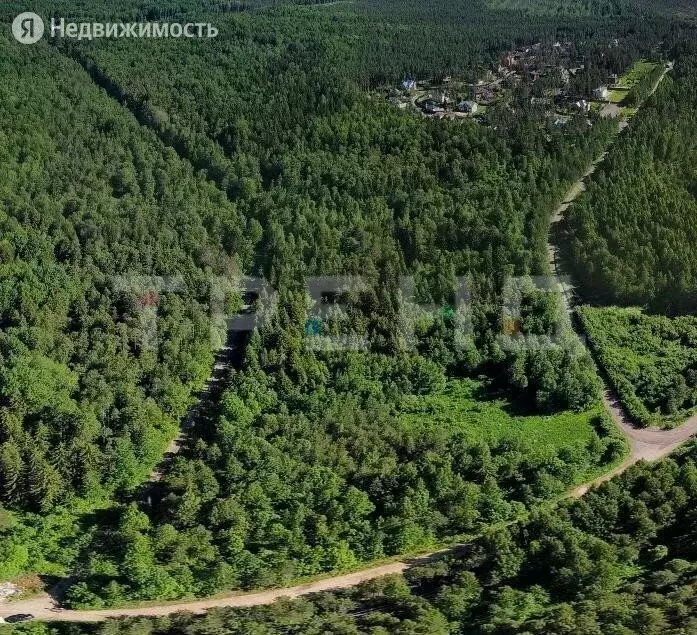 Купить Землю В Ленинградской Области Недорого Ижс