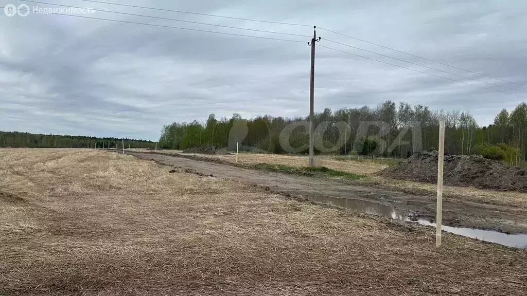 Участок в Свердловская область, Тугулымский муниципальный округ, ... - Фото 1