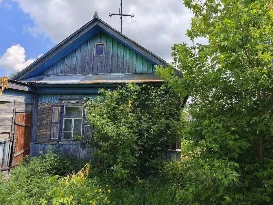 Дом в Алтайский край, Первомайский район, с. Боровиха Октябрьская ул., ... - Фото 1