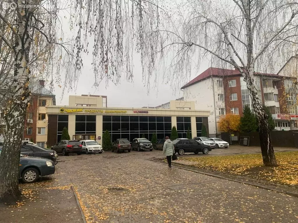 Помещение свободного назначения (19 м) - Фото 2