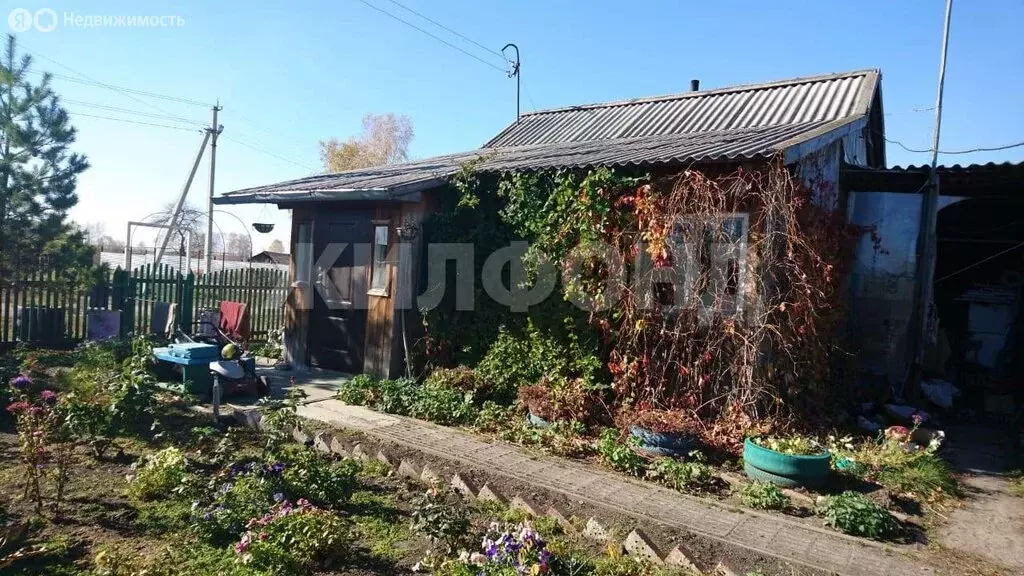 Дом в Новосибирская область, Коченёвский муниципальный район, посёлок ... - Фото 1